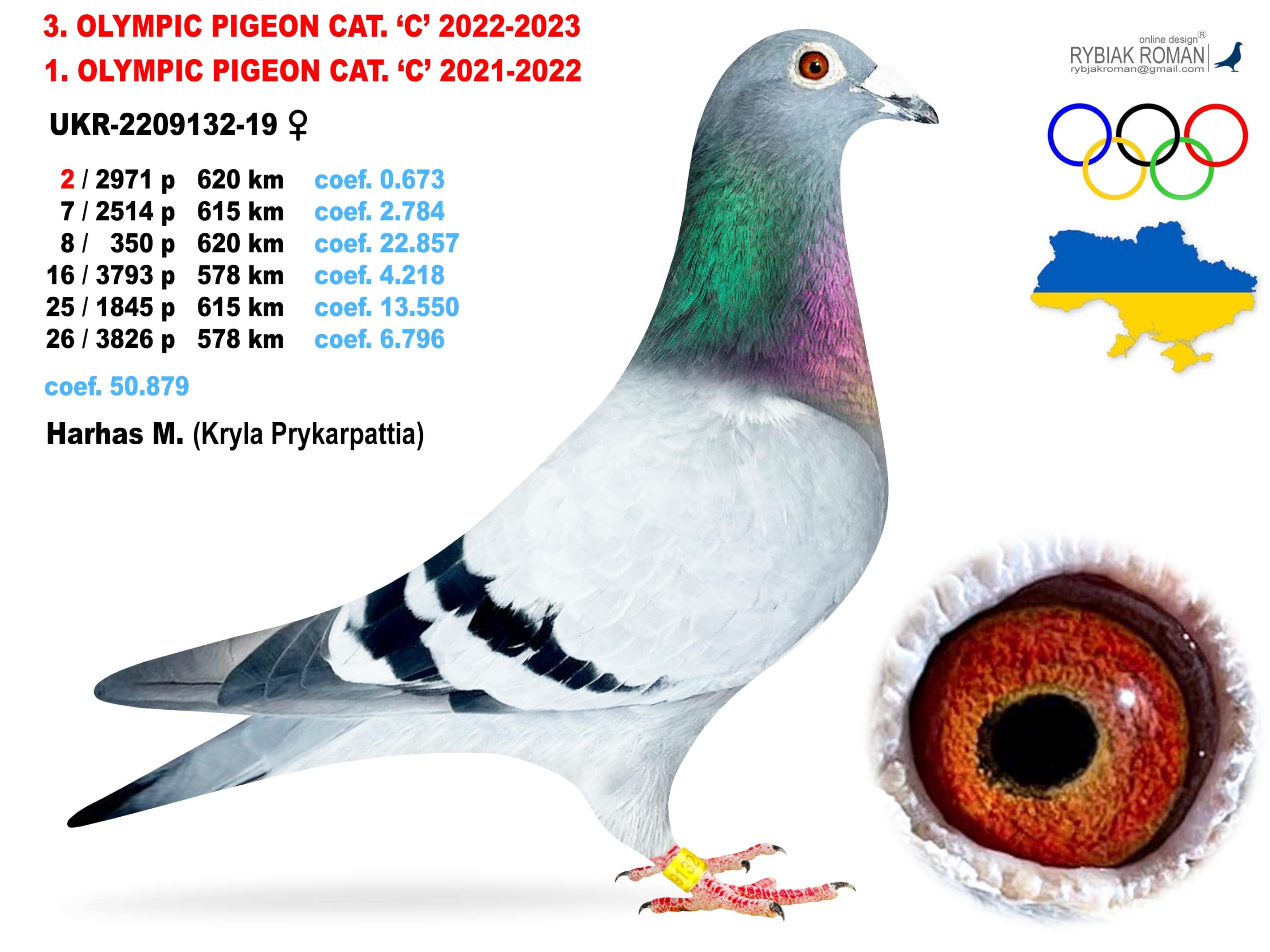 2023-C3